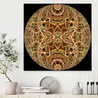 Red Grasses 3 Mandala by Digital Crafts on GIANT ART - brown photo illustration