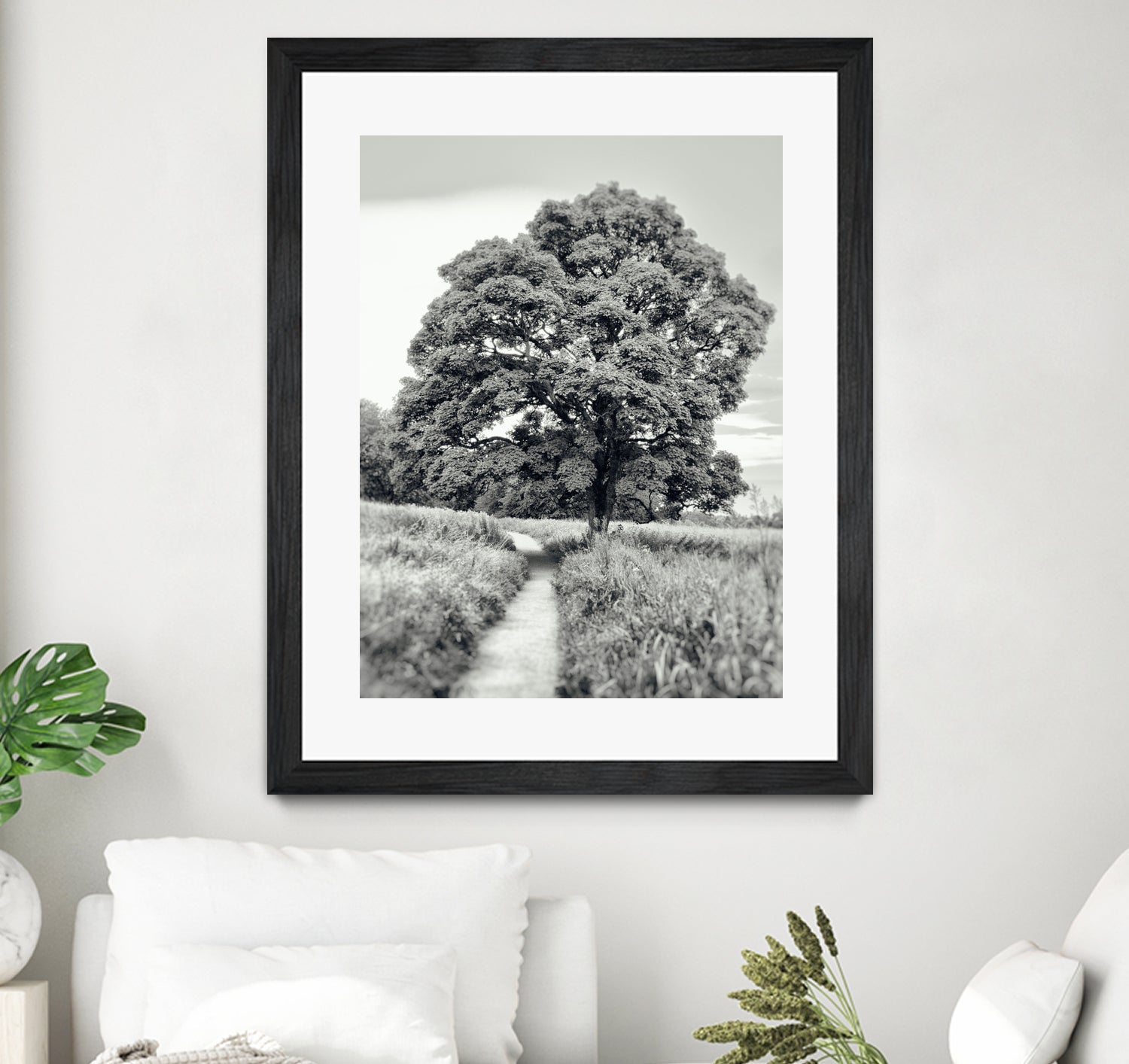 El Árbol by Adrian Daine on GIANT ART - white photo illustration