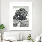 El Árbol by Adrian Daine on GIANT ART - white photo illustration