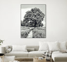 El Árbol by Adrian Daine on GIANT ART - white photo illustration