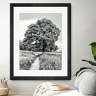 El Árbol by Adrian Daine on GIANT ART - white photo illustration