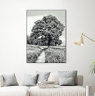 El Árbol by Adrian Daine on GIANT ART - white photo illustration