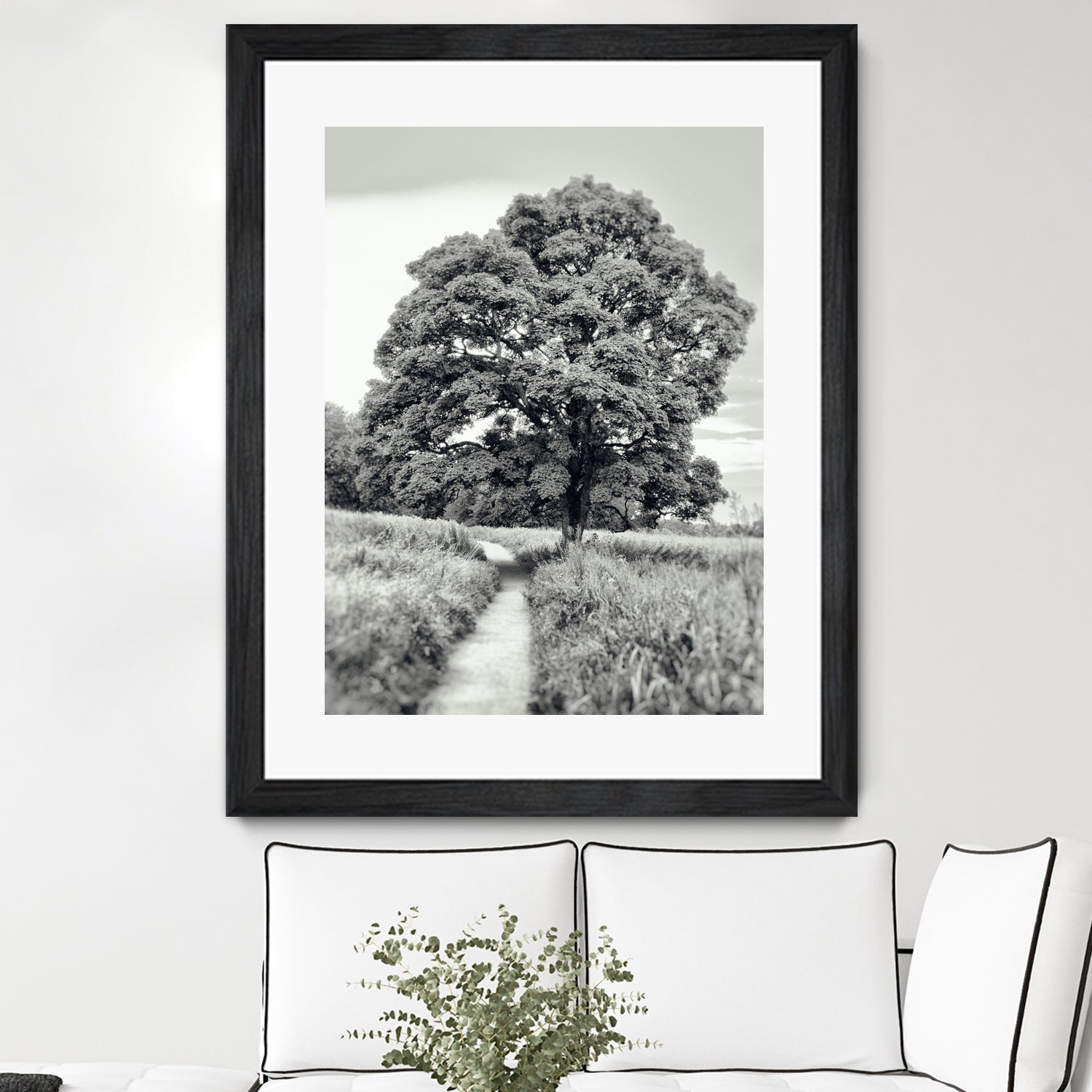 El Árbol by Adrian Daine on GIANT ART - white photo illustration