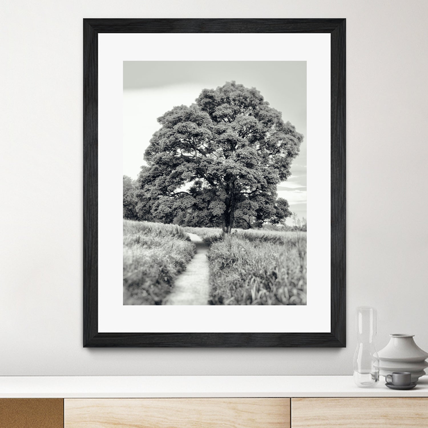 El Árbol by Adrian Daine on GIANT ART - white photo illustration