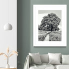 El Árbol by Adrian Daine on GIANT ART - white photo illustration