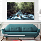 River through the Woods by William Cuccio on GIANT ART - green photo illustration