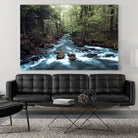 River through the Woods by William Cuccio on GIANT ART - green photo illustration