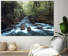 River through the Woods by William Cuccio on GIANT ART - green photo illustration