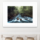 River through the Woods by William Cuccio on GIANT ART - green photo illustration