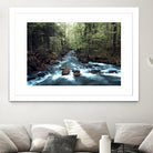 River through the Woods by William Cuccio on GIANT ART - green photo illustration