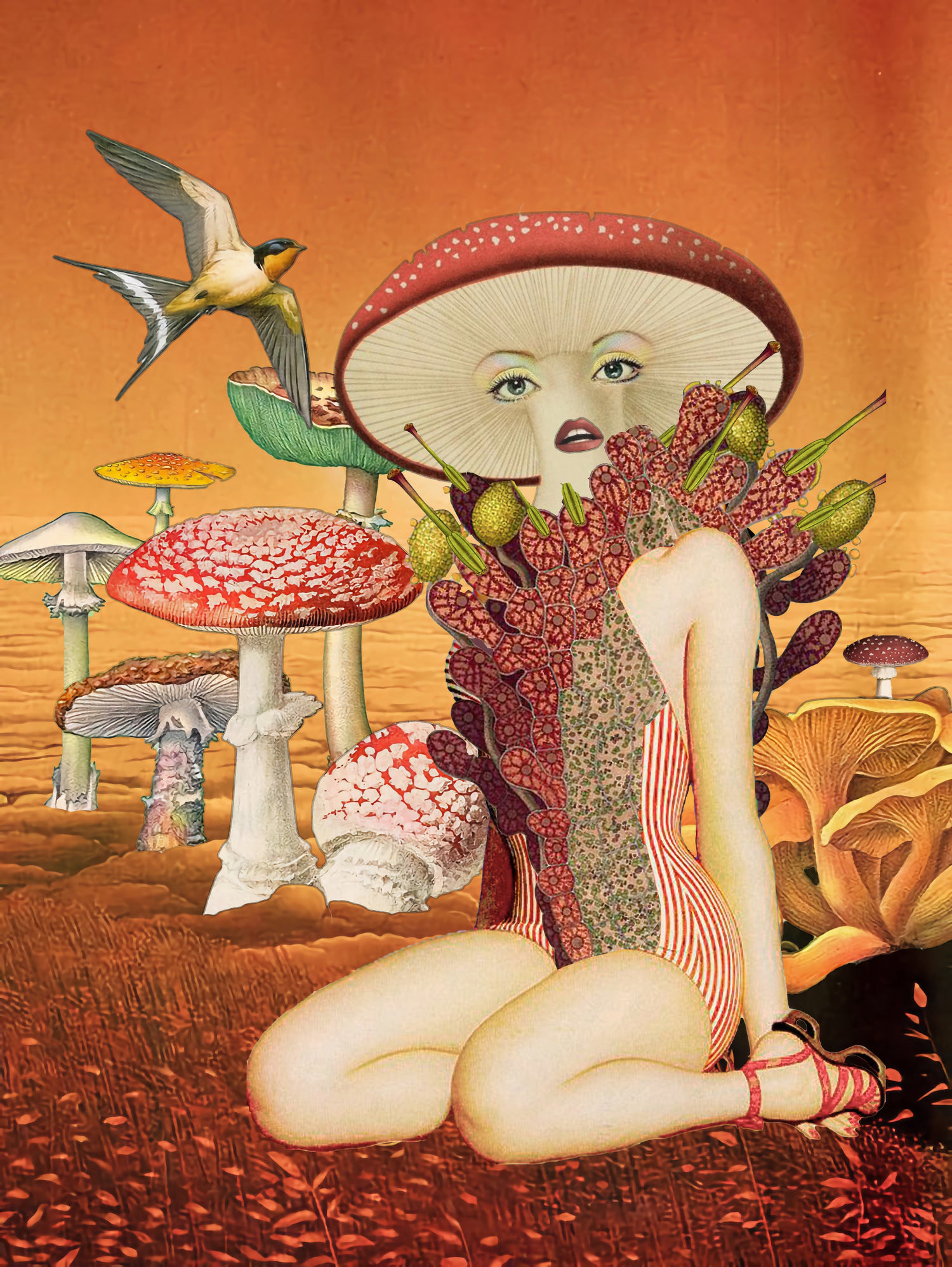 funky fungus by Julia Lillard on GIANT ART - orange photo manipulation