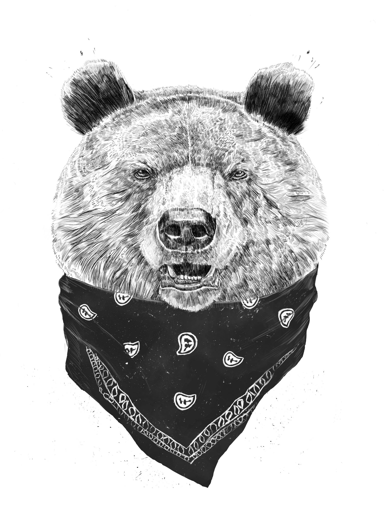 Wild bear by Solti Balázs on GIANT ART - white digital drawing