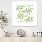 Fern pattern by Polina Ganzina on GIANT ART - white mixed media