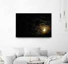 Activity in the Night by Renee Reese on GIANT ART - black photo illustration