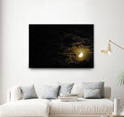 Activity in the Night by Renee Reese on GIANT ART - black photo illustration