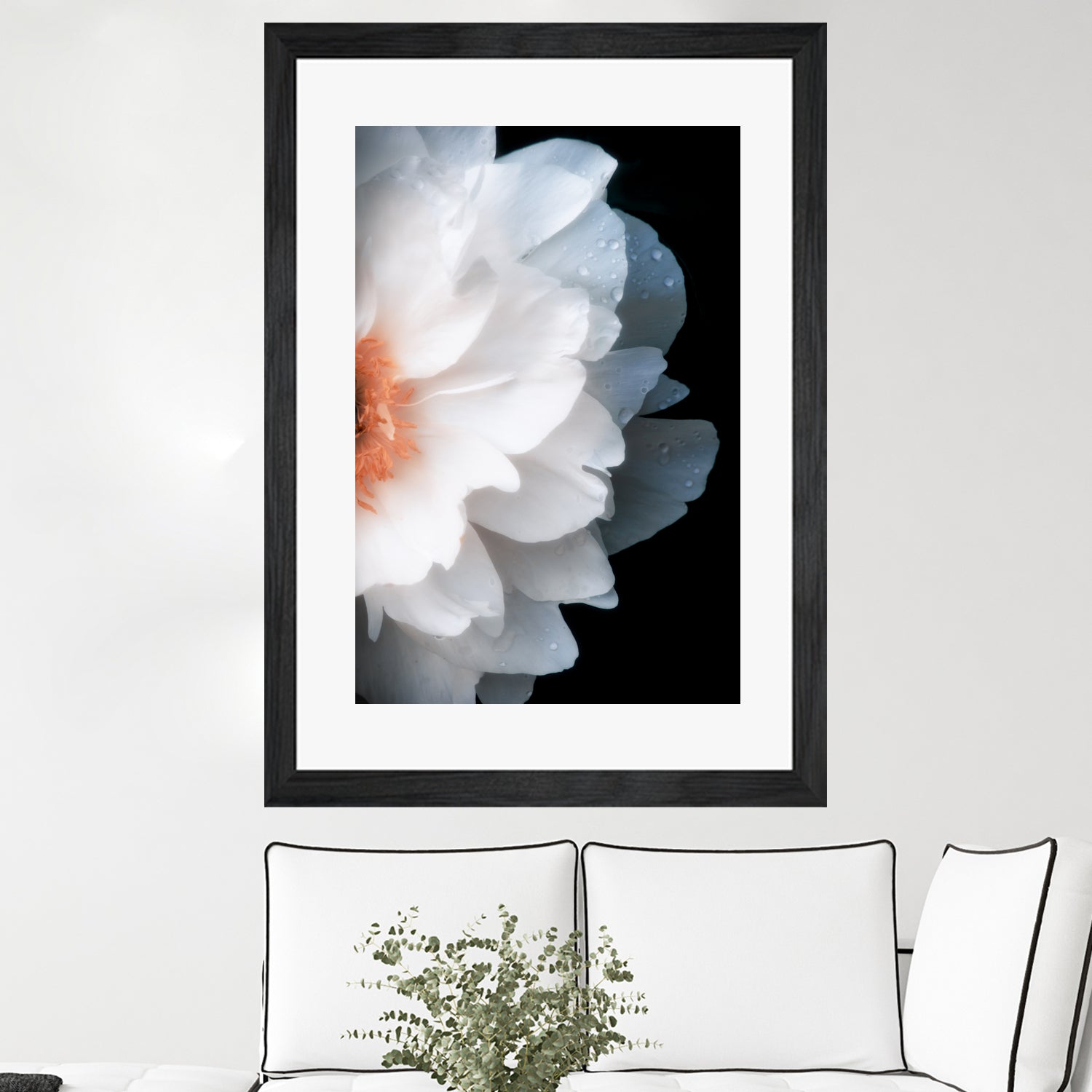 White Flower by Konstantin Sevostyanov on GIANT ART - white photo illustration