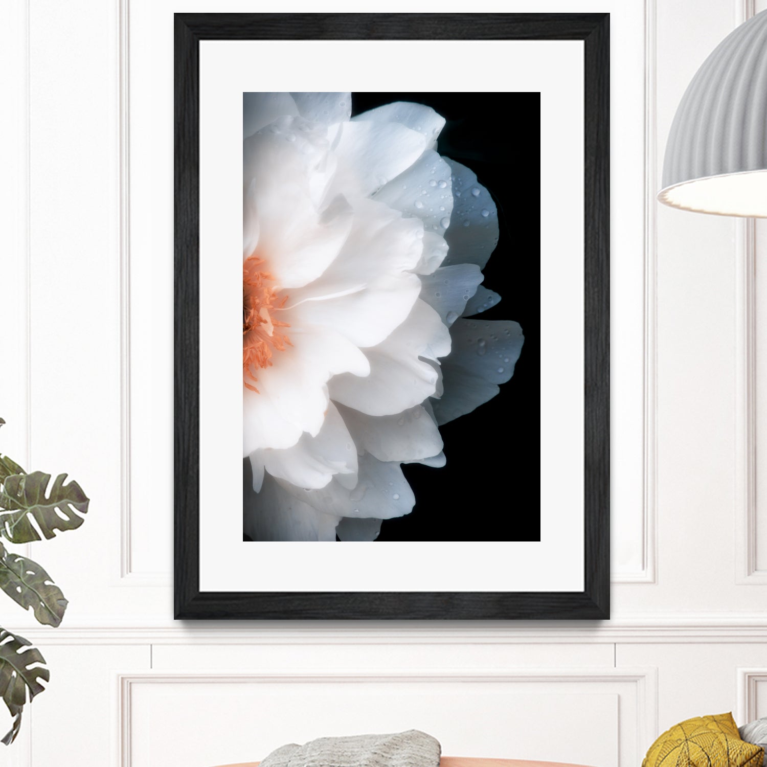 White Flower by Konstantin Sevostyanov on GIANT ART - white photo illustration