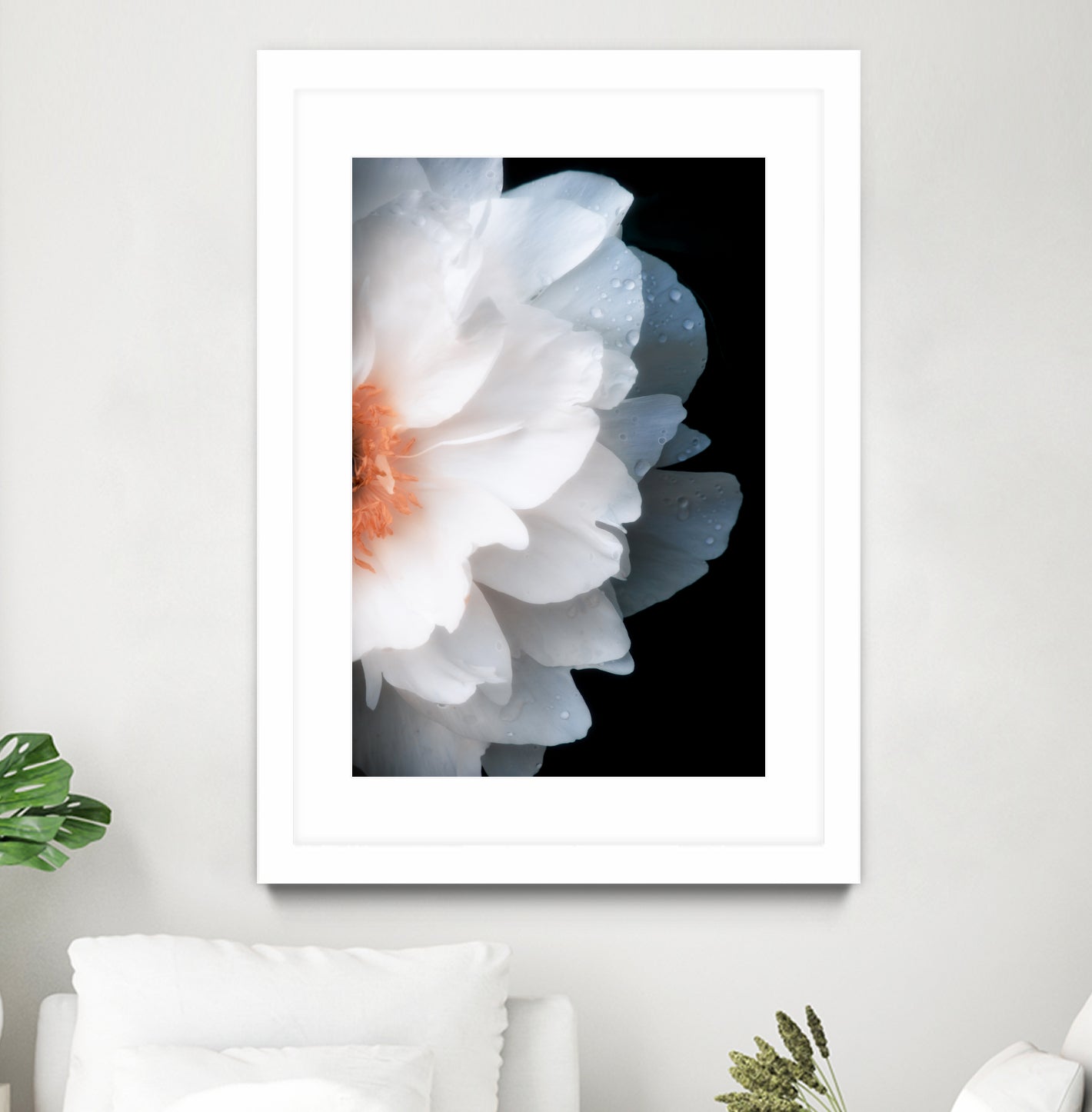 White Flower by Konstantin Sevostyanov on GIANT ART - white photo illustration