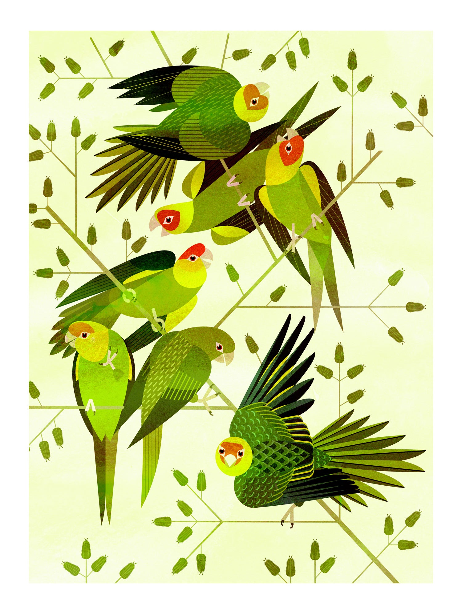 Carolina Parakeet by Scott Partridge on GIANT ART - green vector illustration