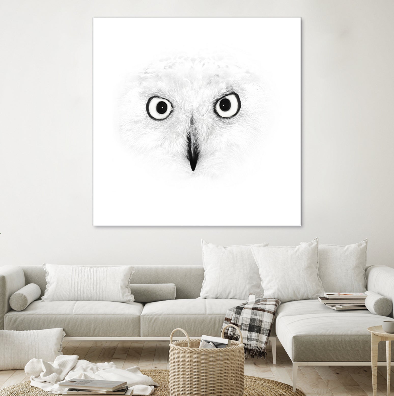 The Owl by Monica Cipriano on GIANT ART - white photo illustration