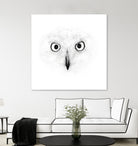 The Owl by Monica Cipriano on GIANT ART - white photo illustration