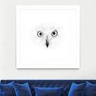 The Owl by Monica Cipriano on GIANT ART - white photo illustration