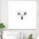 The Owl by Monica Cipriano on GIANT ART - white photo illustration