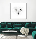 The Owl by Monica Cipriano on GIANT ART - white photo illustration