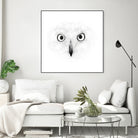 The Owl by Monica Cipriano on GIANT ART - white photo illustration