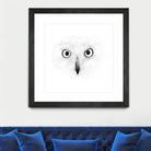 The Owl by Monica Cipriano on GIANT ART - white photo illustration