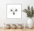 The Owl by Monica Cipriano on GIANT ART - white photo illustration