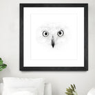 The Owl by Monica Cipriano on GIANT ART - white photo illustration