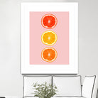 Citrus by Laura Turner on GIANT ART - pink processing/programming