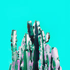 Majestic Cactus by Dominique Van Roey on GIANT ART - blue photo manipulation