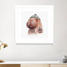 Tattooed Walrus by Tim McConnachie on GIANT ART - gray mixed media