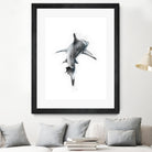 Shark II by Marcou Alexis on GIANT ART - digital drawing