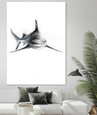 Shark III by Marcou Alexis on GIANT ART - digital drawing