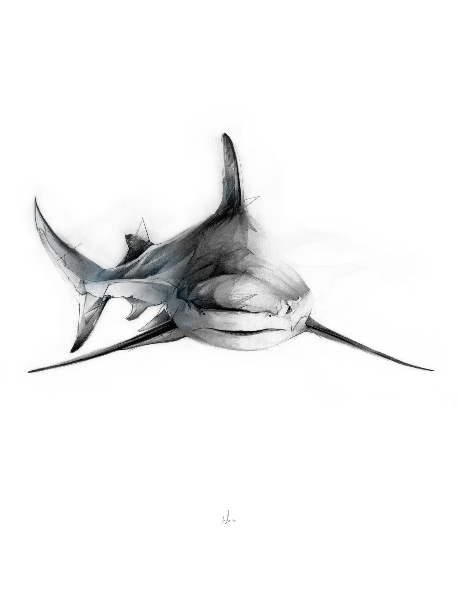 Shark III by Marcou Alexis on GIANT ART - digital drawing