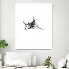 Shark III by Marcou Alexis on GIANT ART - digital drawing