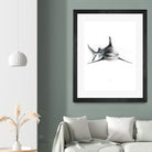 Shark III by Marcou Alexis on GIANT ART - digital drawing