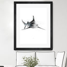 Shark III by Marcou Alexis on GIANT ART - digital drawing