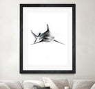 Shark III by Marcou Alexis on GIANT ART - digital drawing