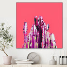 Majestic Cactus on Coral by Dominique Van Roey on GIANT ART - pink photo manipulation