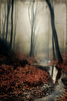 sound of silence c by Dirk Wüstenhagen on GIANT ART - brown photo manipulation