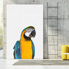 Macaw Parrot by Justinas Jokubauskas on GIANT ART - yellow photo manipulation