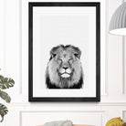 Lion Portrait by Justinas Jokubauskas on GIANT ART - black photo manipulation