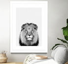 Lion Portrait by Justinas Jokubauskas on GIANT ART - black photo manipulation