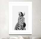 Zebra Portrait by Justinas Jokubauskas on GIANT ART - black photo manipulation