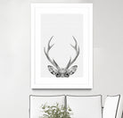 Deer Portrait by Justinas Jokubauskas on GIANT ART - black photo manipulation