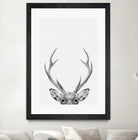 Deer Portrait by Justinas Jokubauskas on GIANT ART - black photo manipulation